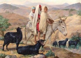 أطفال يلعبون على حمار، الجزائر 1941
